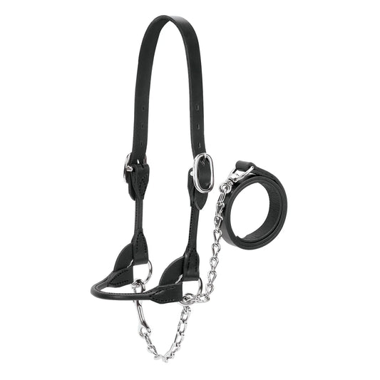 Weaver Rounded Cattle Show Halter -Multiple Colours