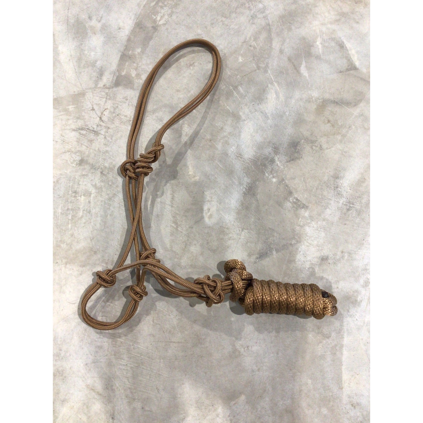 Rope Halter with Lead
