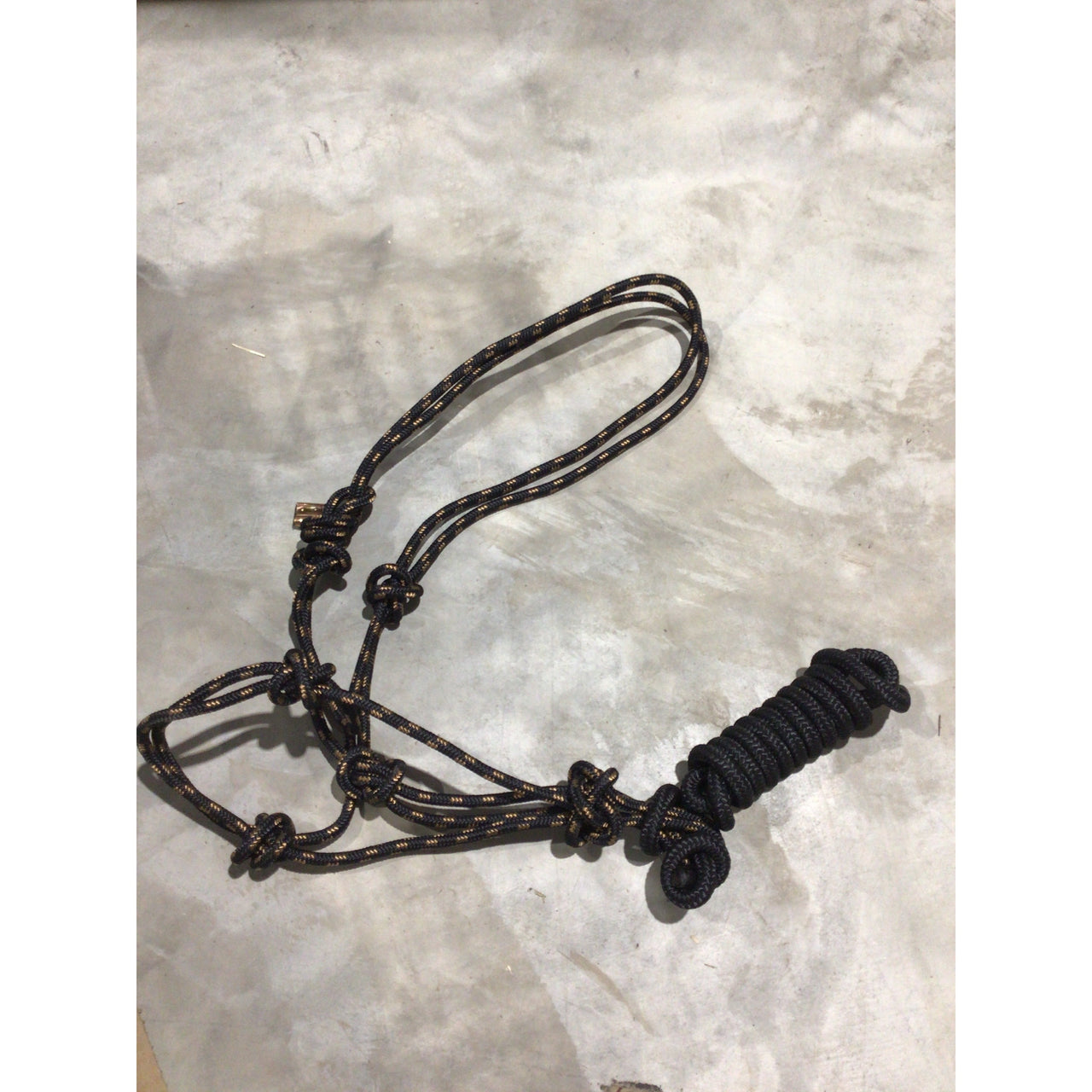 Rope Halter with Lead