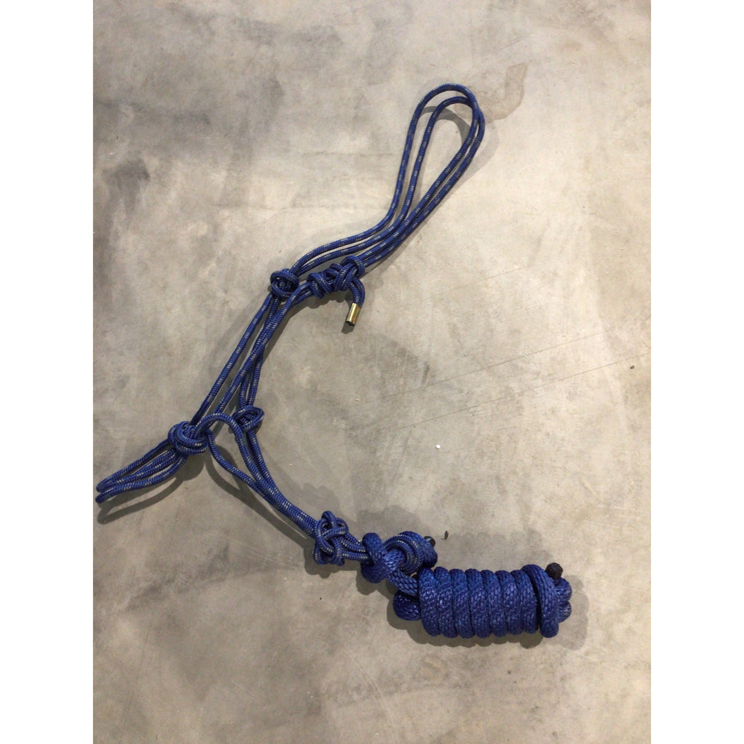 Rope Halter with Lead