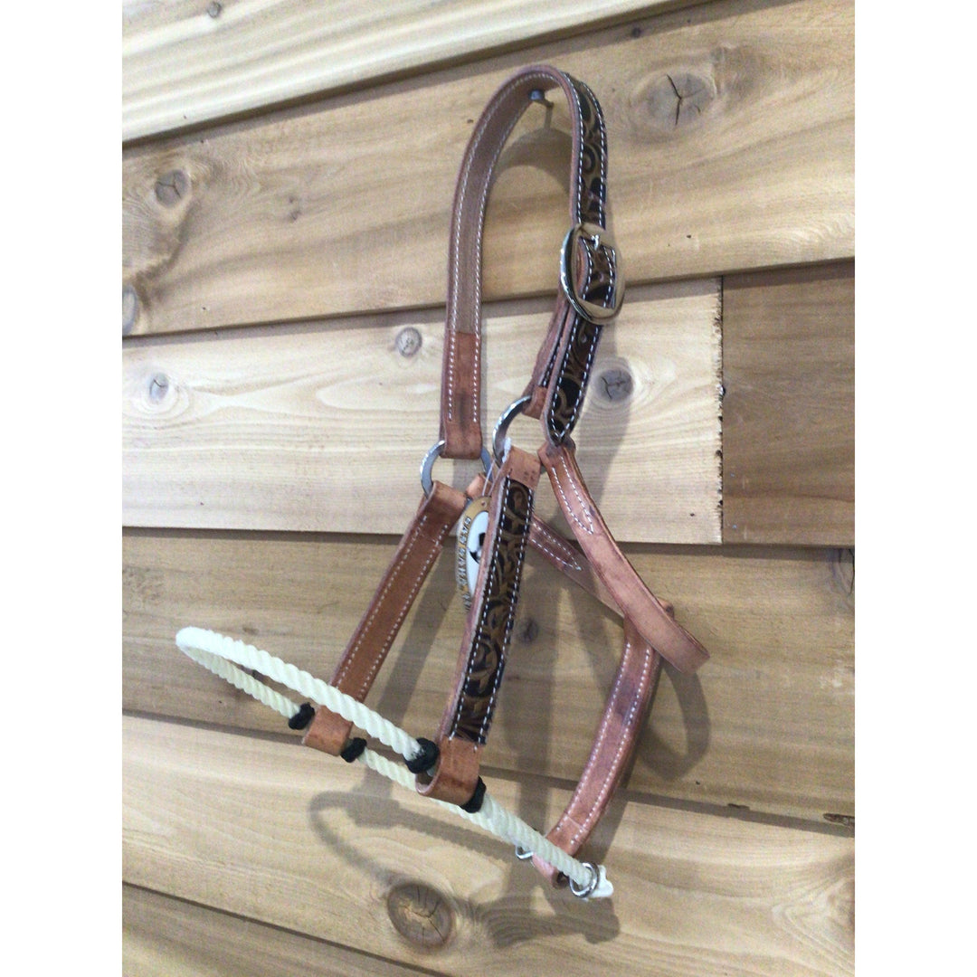 San Saba 1" Harness Leather Halter w/ Rope Nose -Floral &amp; Buckstitch