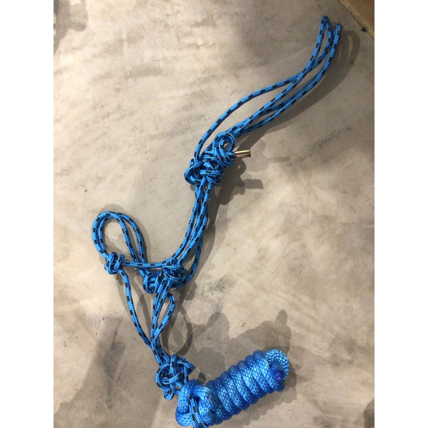 Rope Halter with Lead
