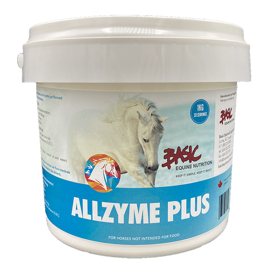 Basic Equine Allzyme Plus  1 KG