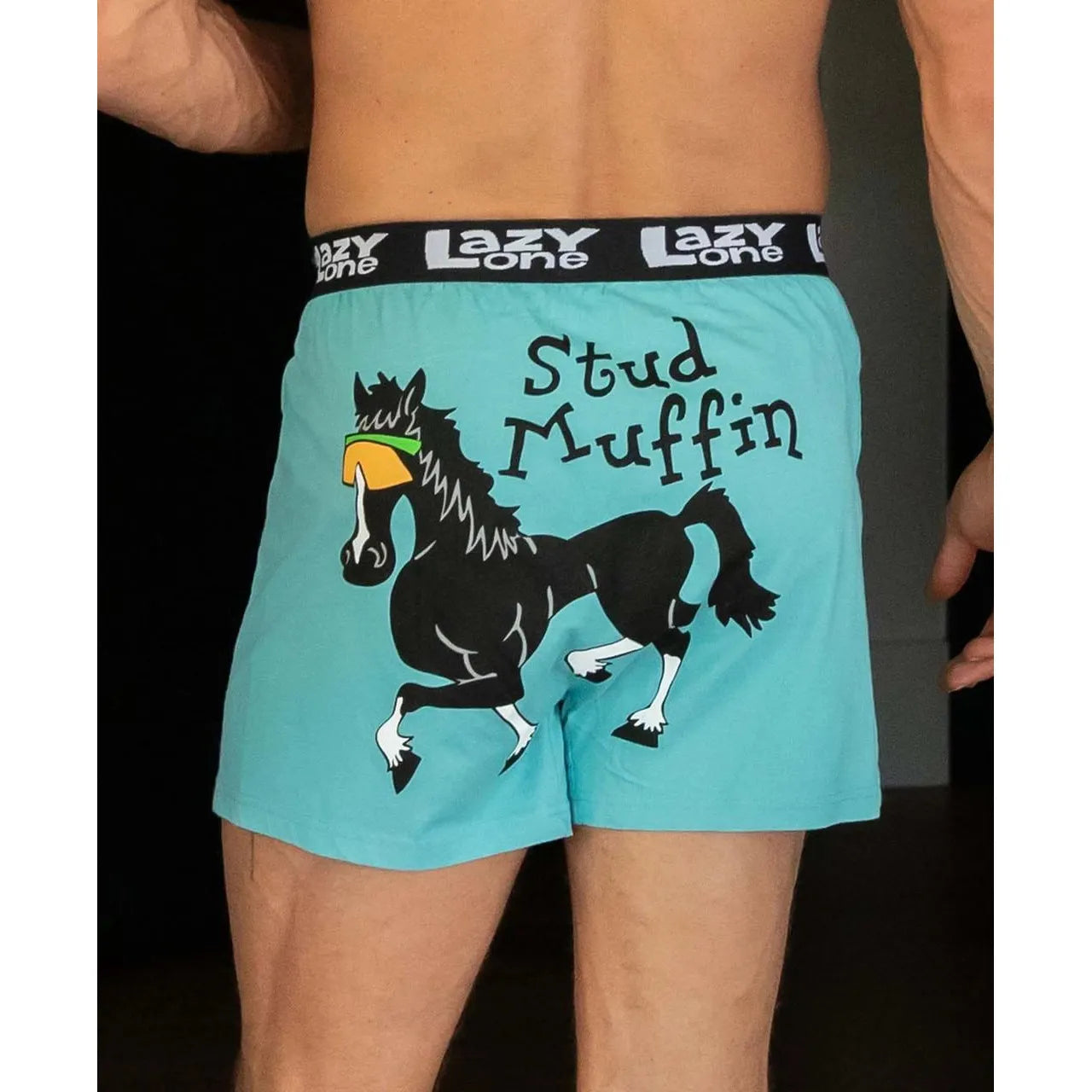 Lazy One Men's Stud Muffin Boxer- Cadet Blue
