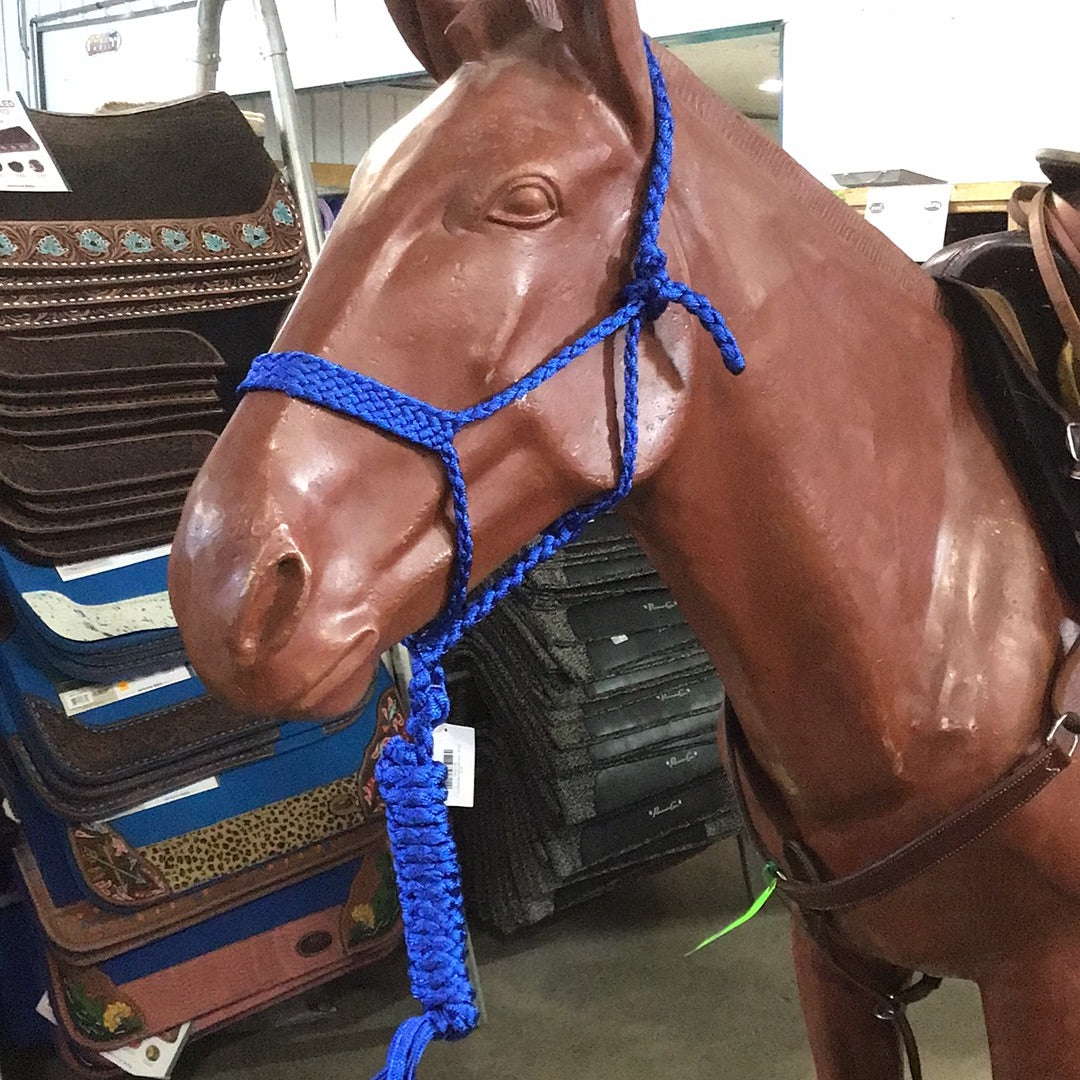 Irvine Mule Tape Halter w/8 ft Lead