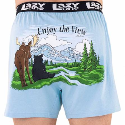 Lazy One Men's Enjoy The View Boxer - Blue