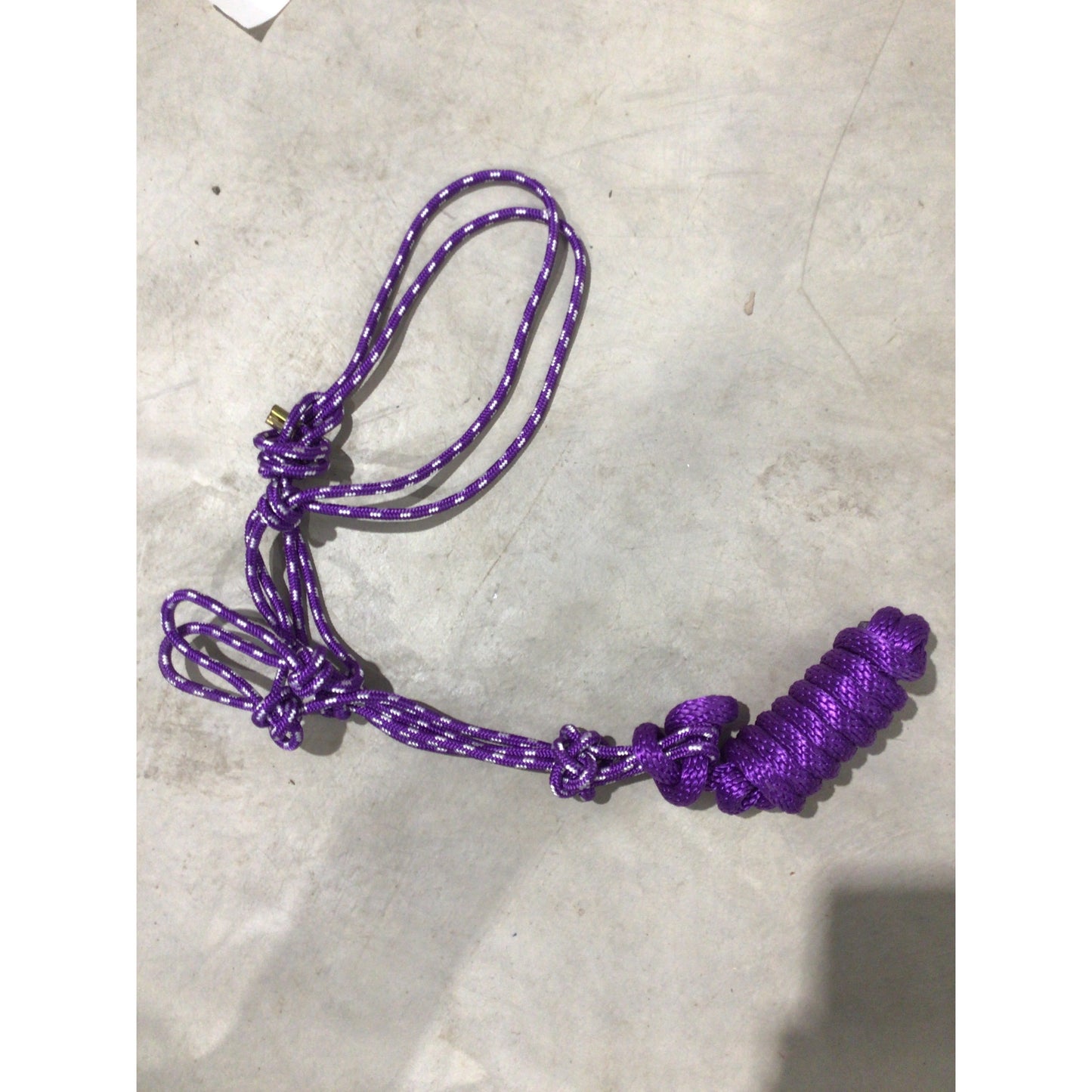 Rope Halter with Lead