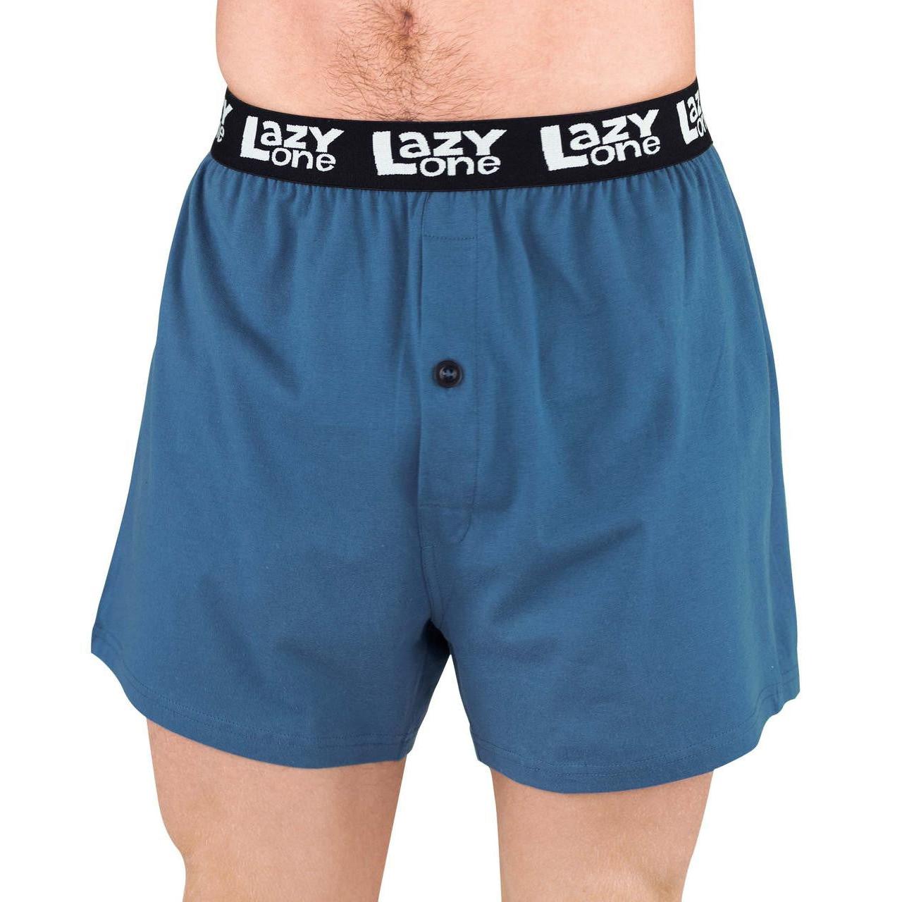 Lazy One Men's Smelt It Dealt It Moose Boxer- Blue