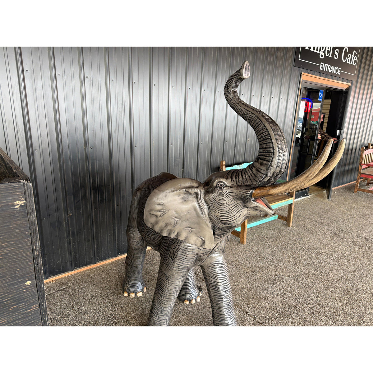 Medium Elephant-5'
