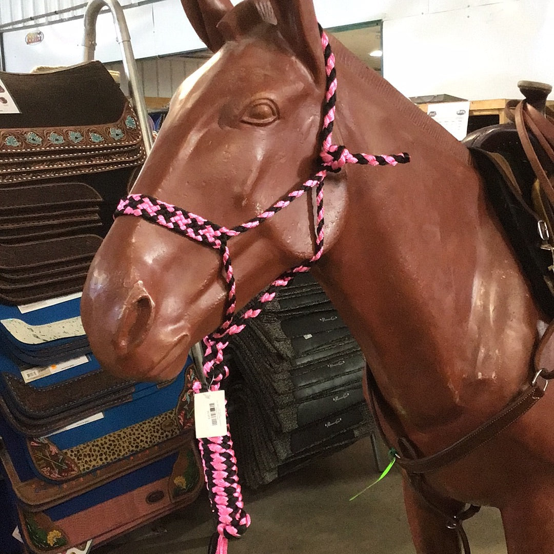 Irvine Mule Tape Halter w/8 ft Lead