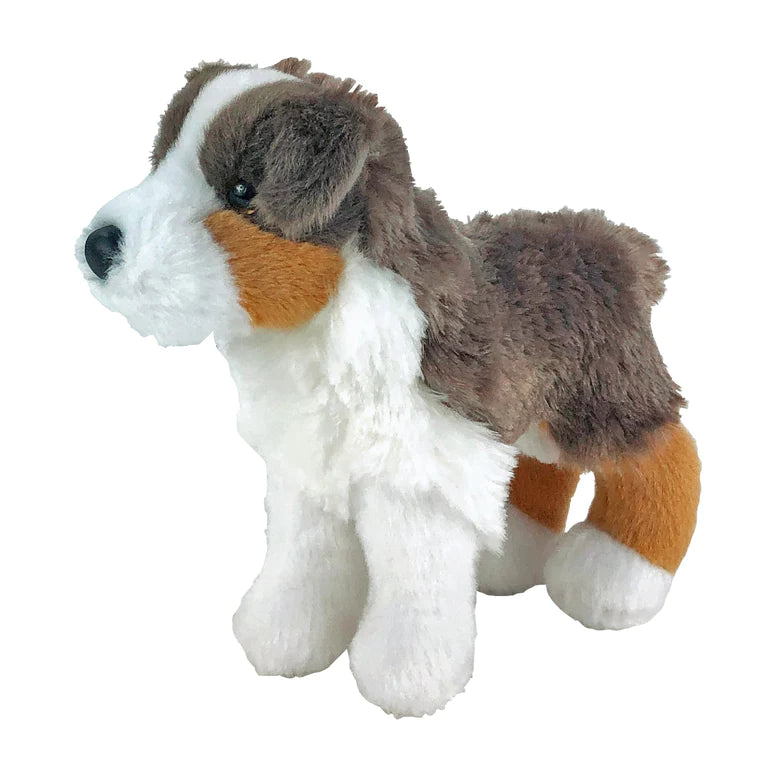 Big Country Sway The Australian Shepherd