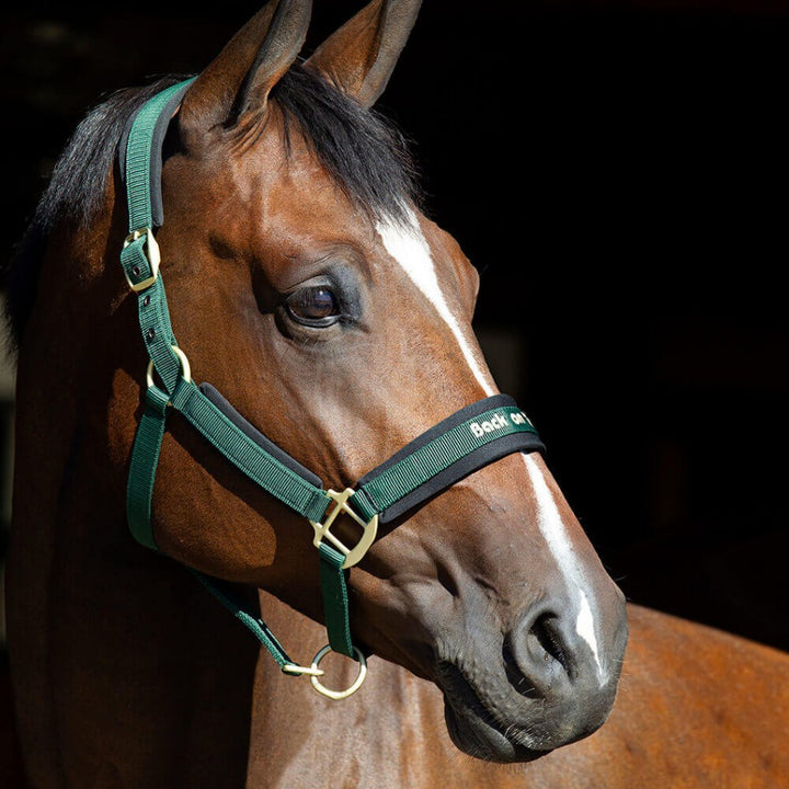 Back on Track Werano Halter
