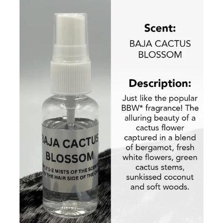 ReSCENTit Car Scents Sprays
