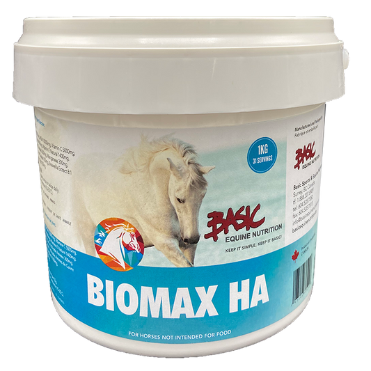 Basic Equine Biomax HA 1KG