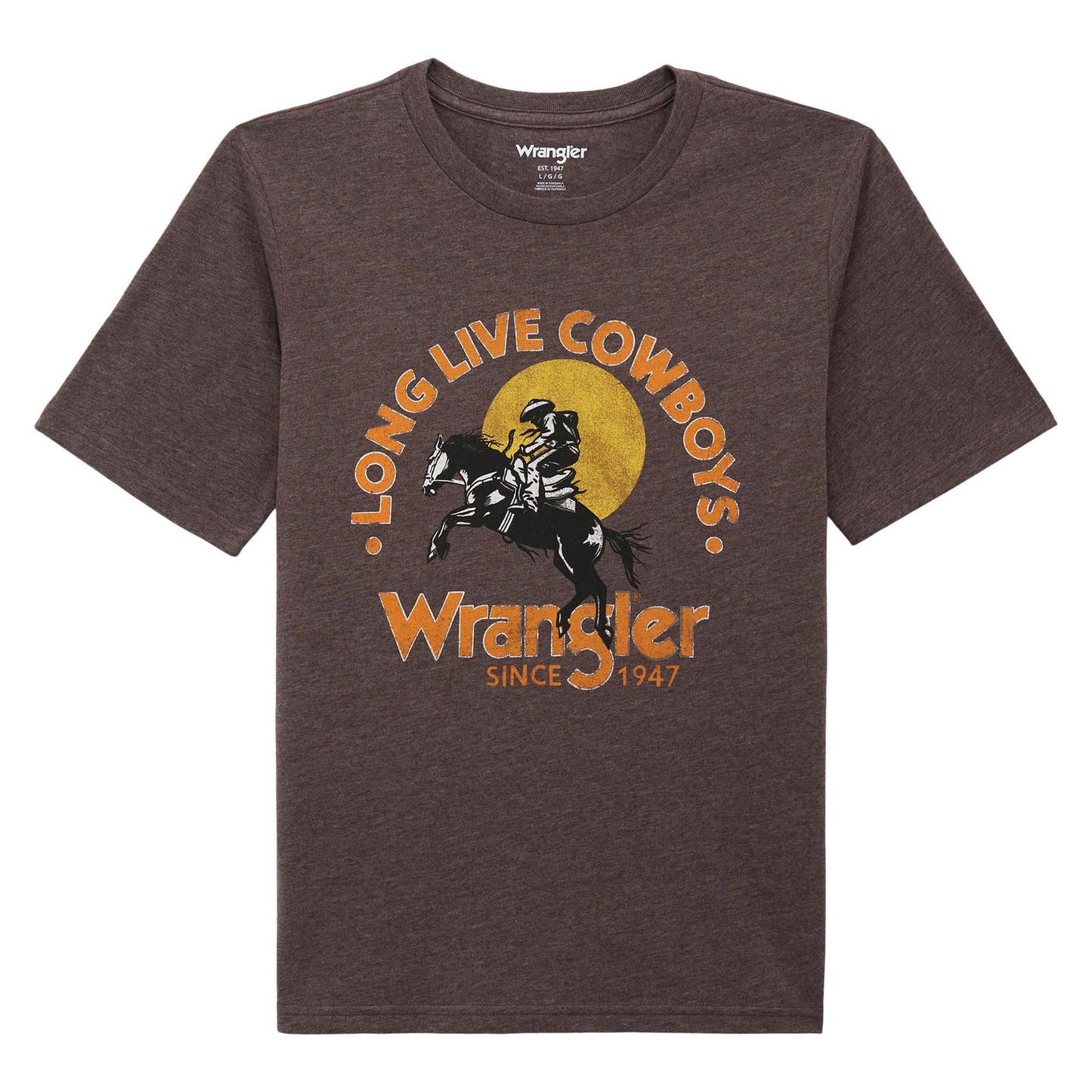 Wrangler Boy's Graphic Short Sleeve Tee Shirt - Mole Heather