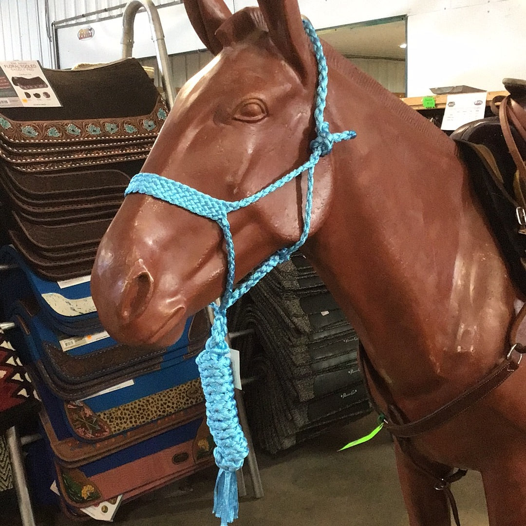 Irvine Mule Tape Halter w/8 ft Lead