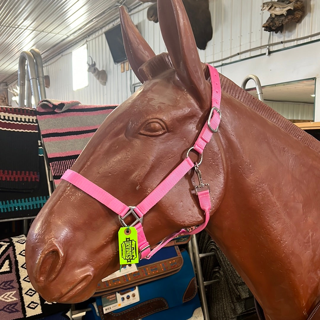 Irvine Nylon Adjustable Halter w/Snap - Irvine Tack &amp; Western Wear