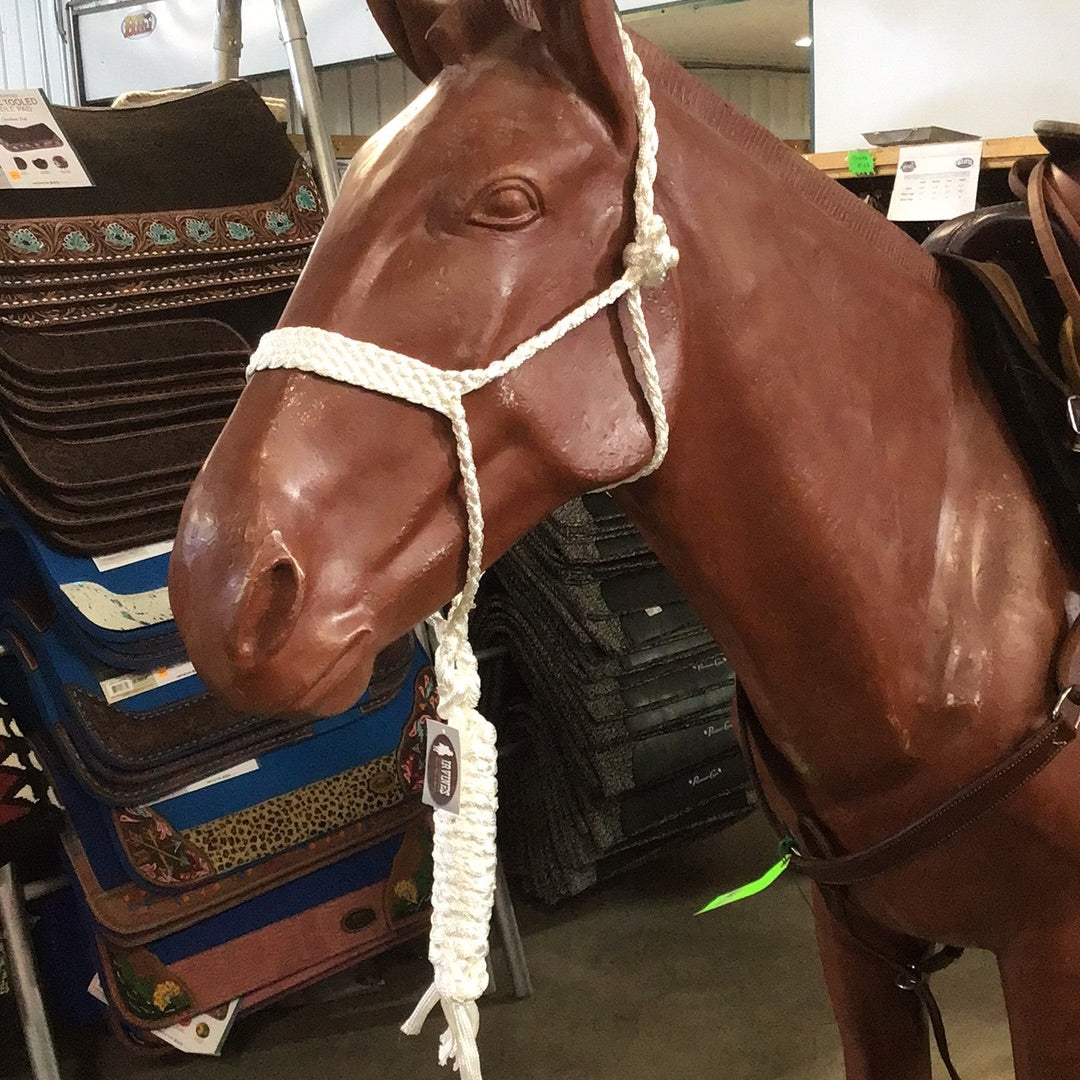 Irvine Mule Tape Halter w/8 ft Lead