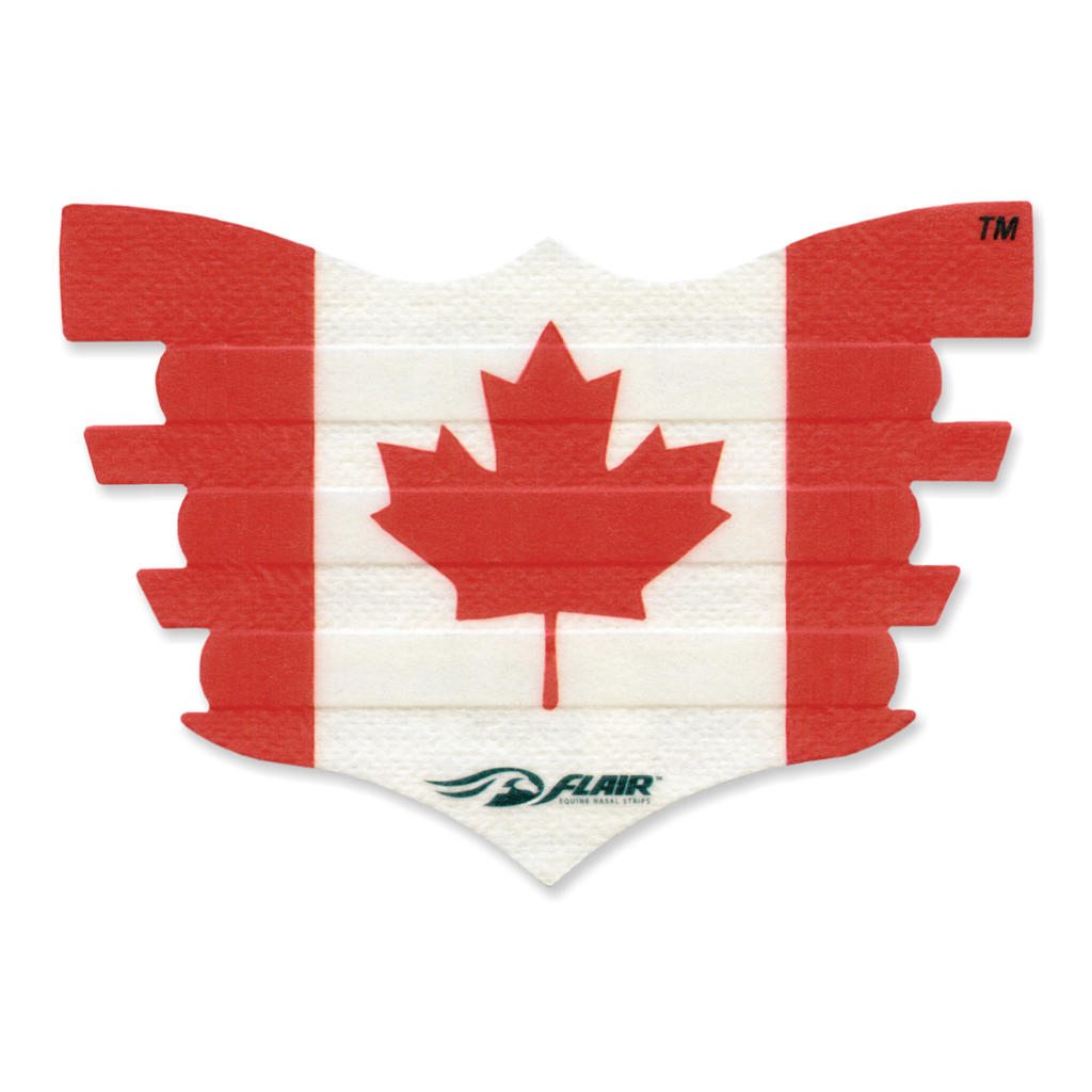 Flair Nasal Strips Single - Canada