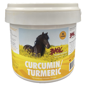 Basic Equine Curcumin/Tumeric 500g