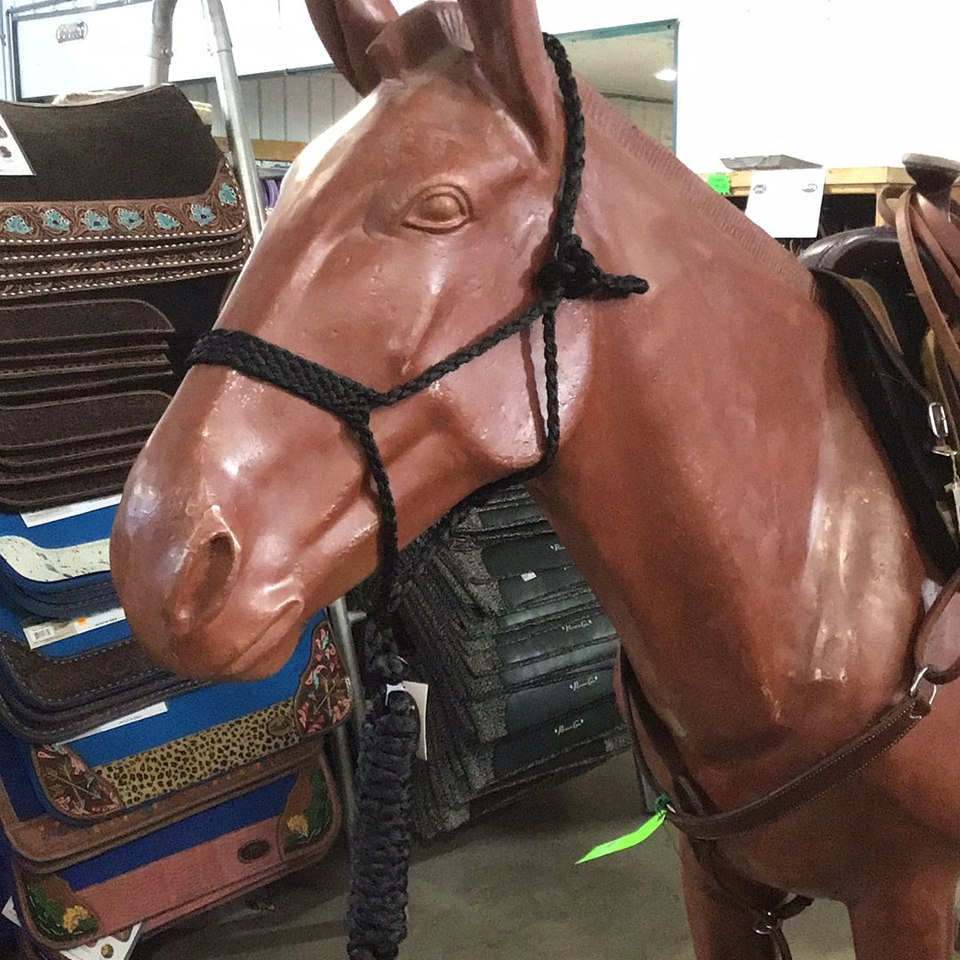 Irvine Mule Tape Halter w/8 ft Lead
