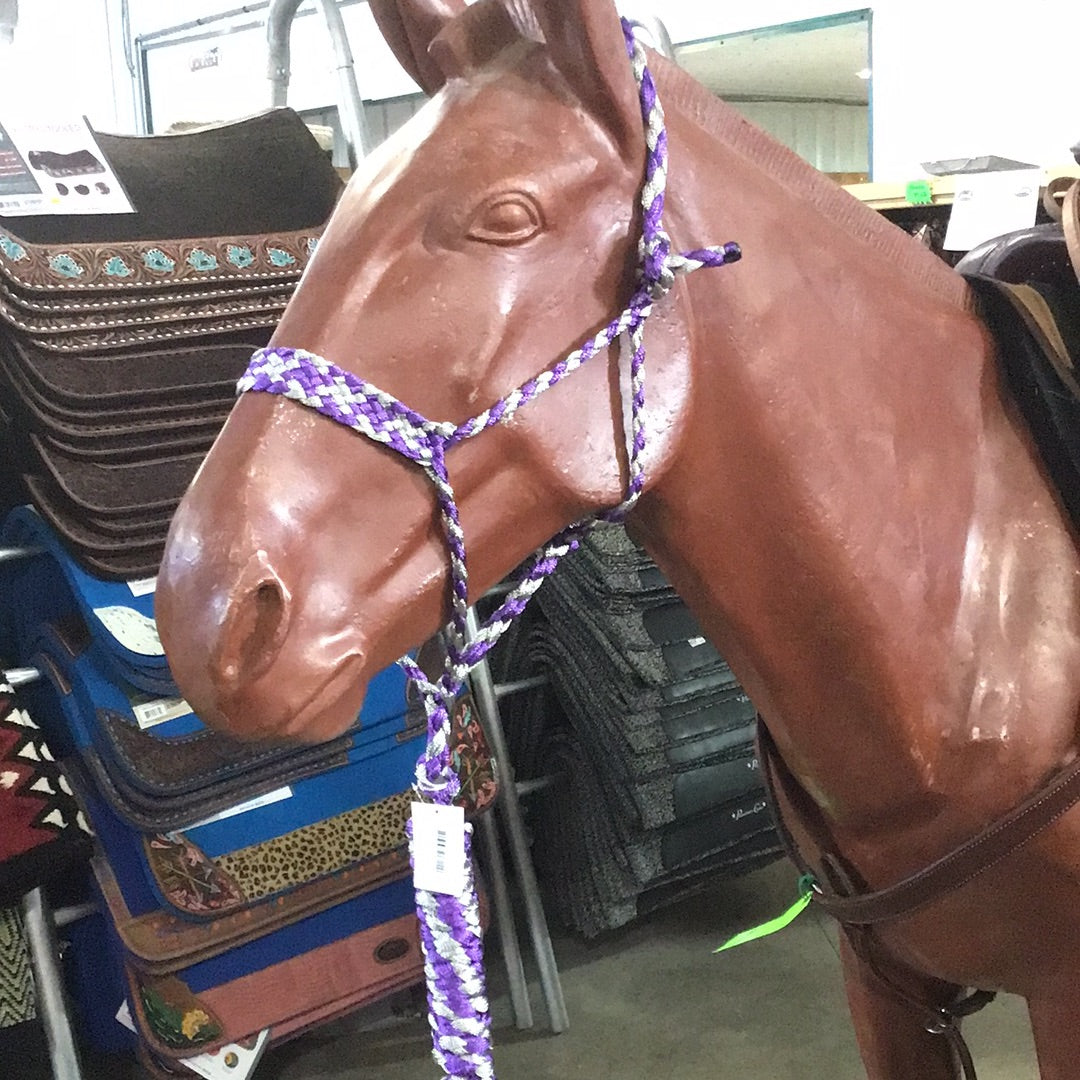 Irvine Mule Tape Halter w/8 ft Lead