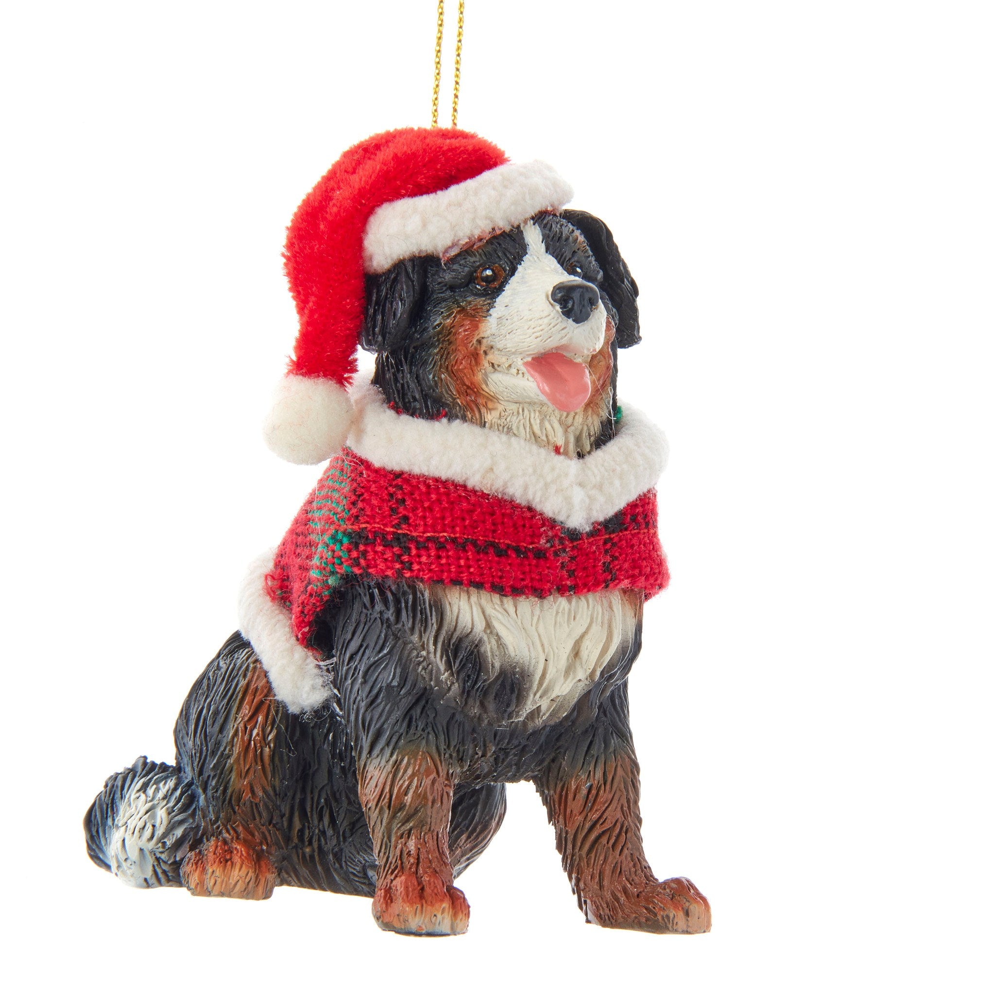 Bernese mountain sale dog gear