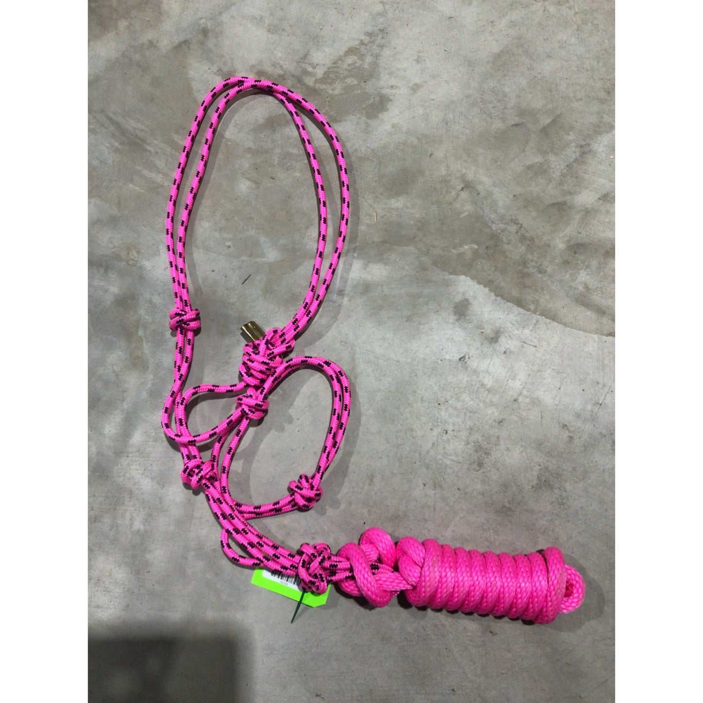Rope Halter with Lead