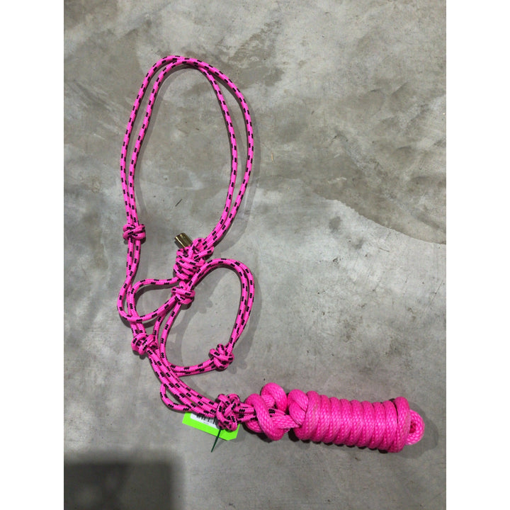 Rope Halter with Lead