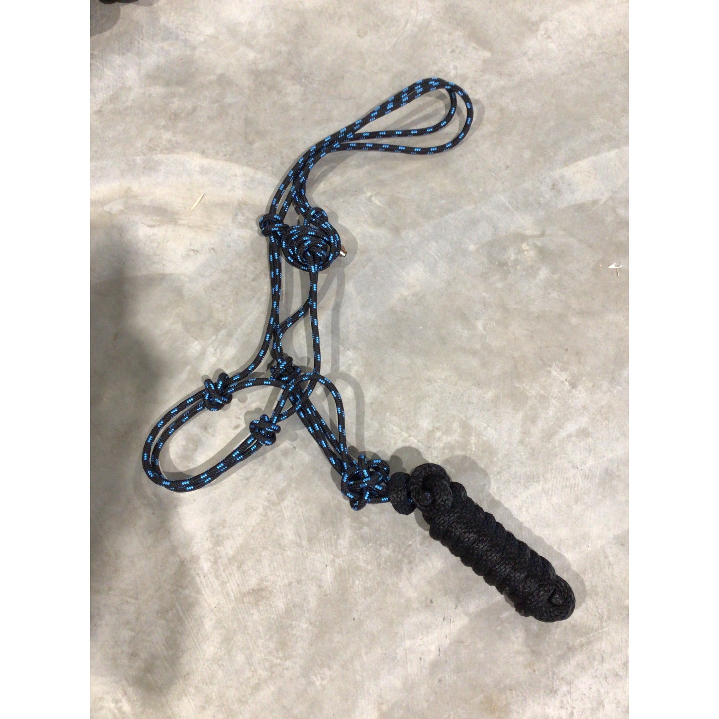 Rope Halter with Lead
