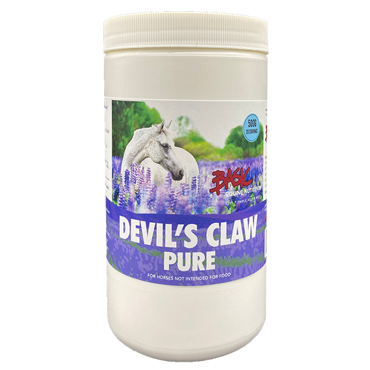 Basic Equine Devils Claw