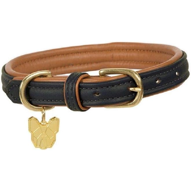 Shires Digby & Fox Padded Leather Dog Collar