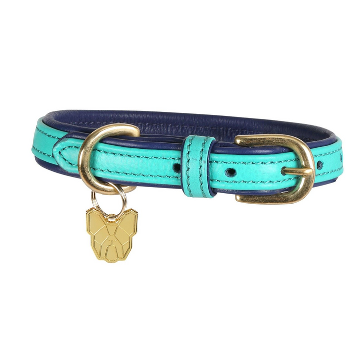 Shires Digby &amp; Fox Padded Leather Dog Collar