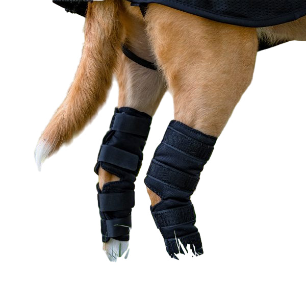 Back On Track Dog Hock Brace (Pair)