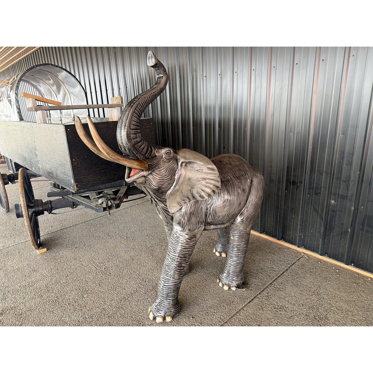 Medium Elephant-5'
