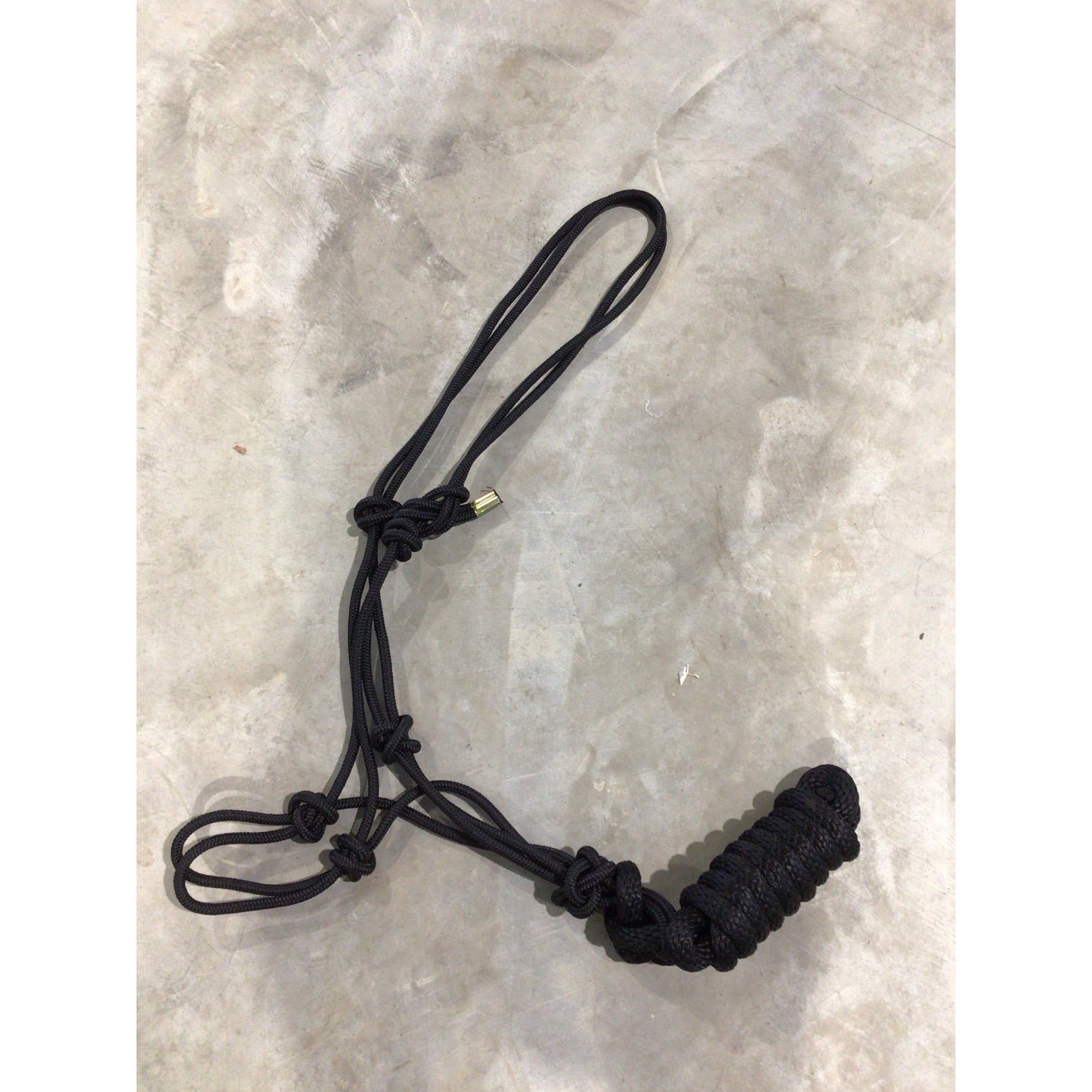 Rope Halter with Lead