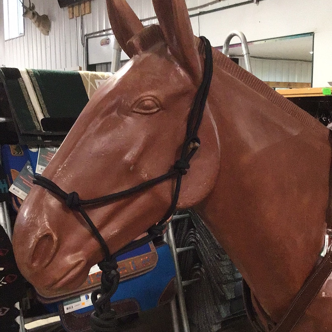 Irvine Rope Halter w/Matching Lead Rope