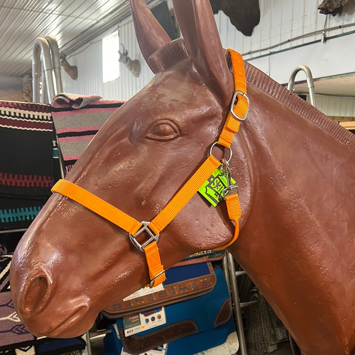 Irvine Nylon Adjustable Halter w/Snap - Irvine Tack &amp; Western Wear