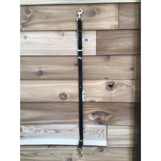 San Saba Biothane Tiedown