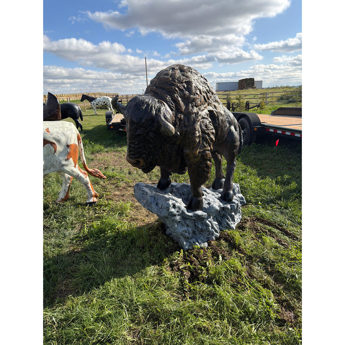 Buffalo On Rock