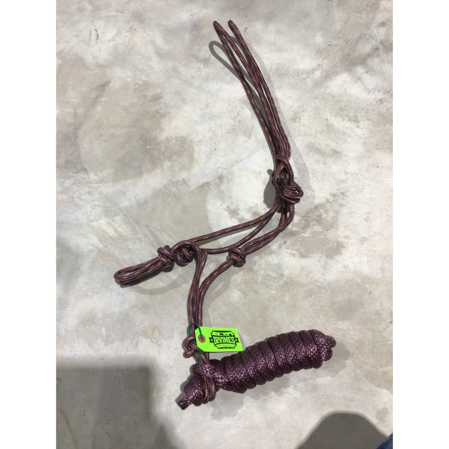 Rope Halter with Lead