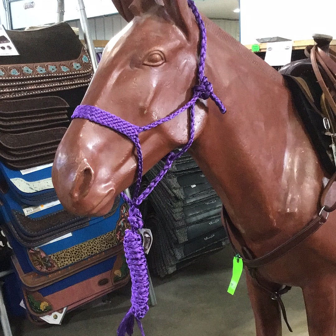 Irvine Mule Tape Halter w/8 ft Lead