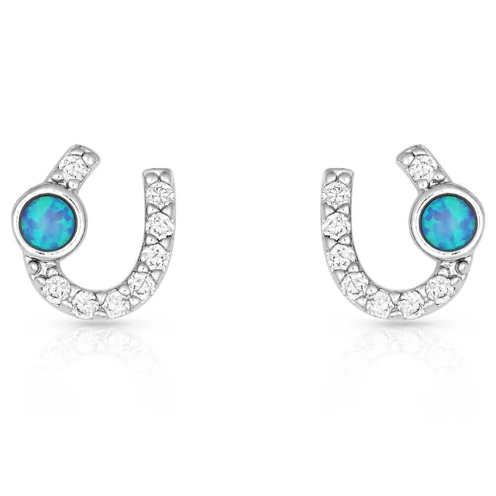 Montana Silversmiths Lightfoot Horseshoe Earrings