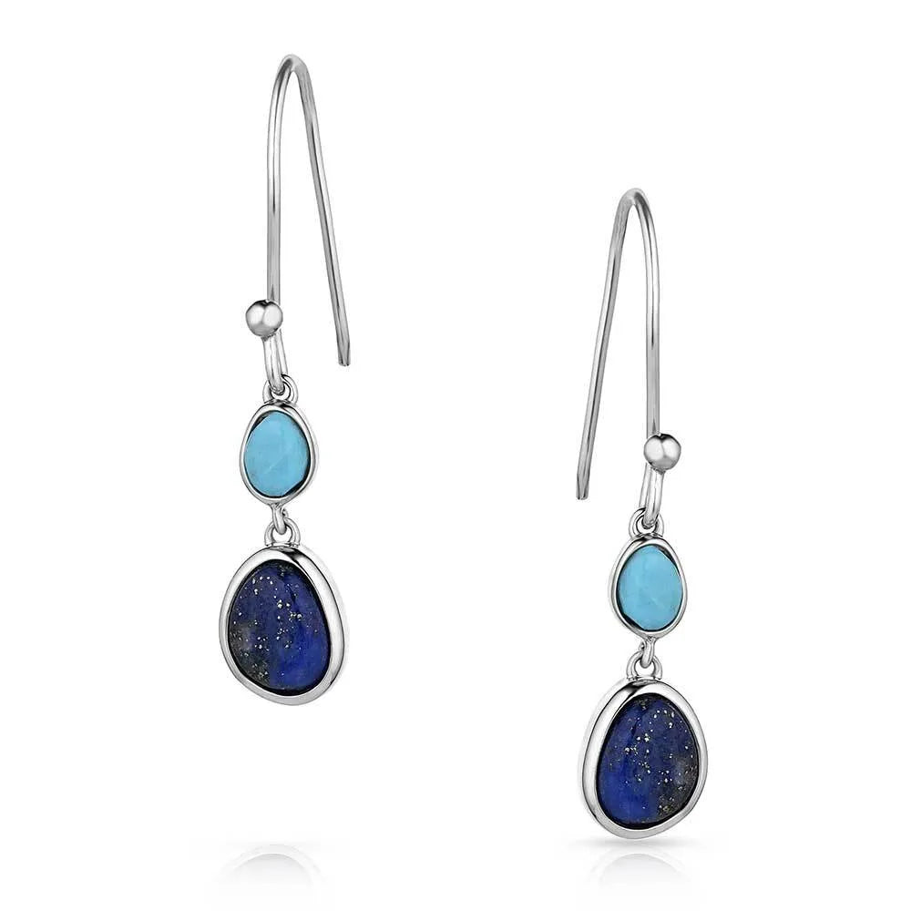 Montana Silversmith Women's Nature's Obsession Earrings