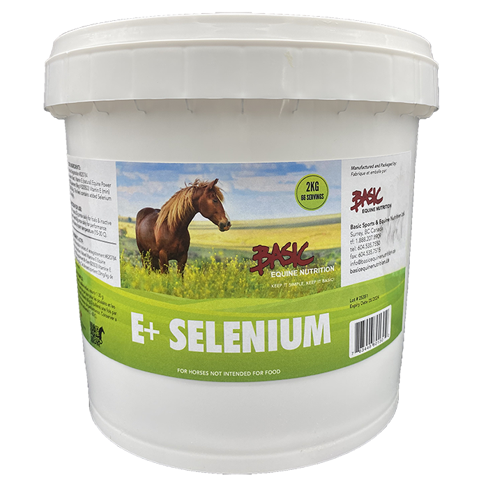Basic Equine E+Selenium 2KG
