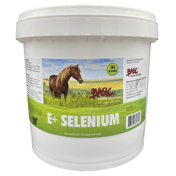 Basic Equine E+Selenium 1KG - Irvine Tack &amp; Western Wear