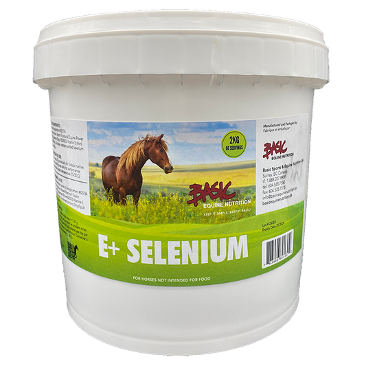 Basic Equine E+Selenium 1KG