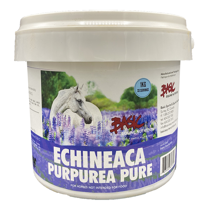 Basic Equine Echinacea 1KG