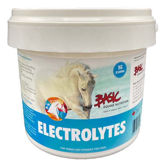 Basic Equine - Electrolytes 1KG