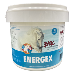 Basic Equine Energex 1KG
